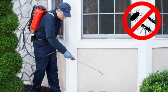 Başkale Böcek ve Haşere İlaçlama böcek ilaçlama ve haşere kontrolü — ilaclama-tr.com
